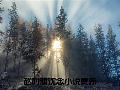 赵时渊沈念（赵时渊沈念）正版免费小说-赵时渊沈念抖音新上热文分享