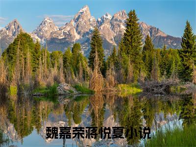 魏嘉荣蒋悦夏（魏嘉荣蒋悦夏免费小说）全文免费阅读无弹窗大结局_魏嘉荣蒋悦夏最新章节列表_笔趣阁（魏嘉荣蒋悦夏小说）