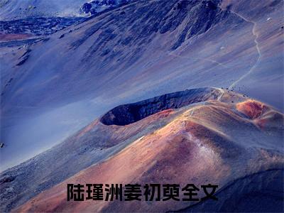 陆瑾洲姜初萸免费完结小说-陆瑾洲姜初萸在线阅读全文（陆瑾洲姜初萸）