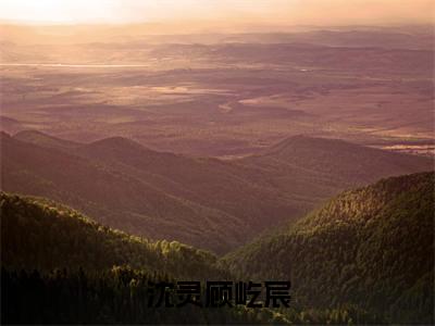 沈灵顾屹宸（沈灵顾屹宸）全文在线阅读无弹窗大结局_沈灵顾屹宸最新章节列表_笔趣阁