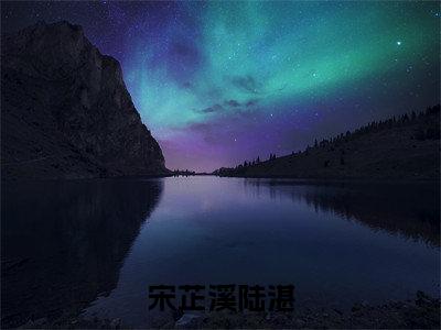 宋芷溪陆湛全文免费(宋芷溪陆湛)全集小说完整版大结局-宋芷溪陆湛全文阅读无弹窗