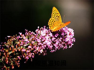 （完整版）祁砚京温知闲（祁砚京温知闲）小说推荐-祁砚京温知闲热文小说免费阅读全文