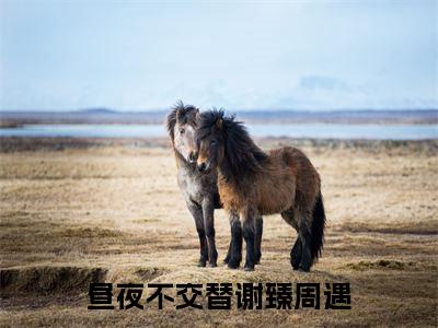 昼夜不交替(谢臻周遇)全文免费阅读无弹窗大结局_(谢臻周遇小说全文免费阅读)昼夜不交替小说全文无弹窗最新章节列表_笔趣阁（谢臻周遇）