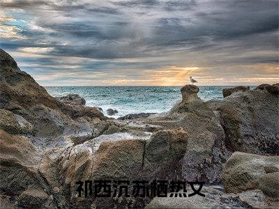 祁西沉苏栖小说最新章节阅读-小说（祁西沉苏栖）已完结小说精彩大结局