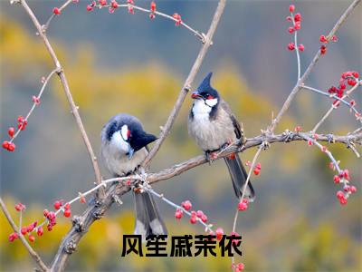 风笙戚茉依（风笙，你可曾对我有过一丝心动）全文免费阅读无弹窗大结局_风笙戚茉依完整章节阅读