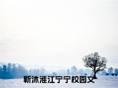 《靳沐淮江宁宁》靳沐淮江宁宁无弹窗阅读_靳沐淮江宁宁最新章节列表_笔趣阁