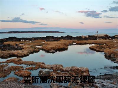 姜听澜沈砚辞小说-（姜听澜沈砚辞）小说全文免费阅读