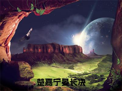 楚嘉宁晏长决小说（楚嘉宁晏长决全文完整版免费阅读）_楚嘉宁晏长决小说免费最新章节列表