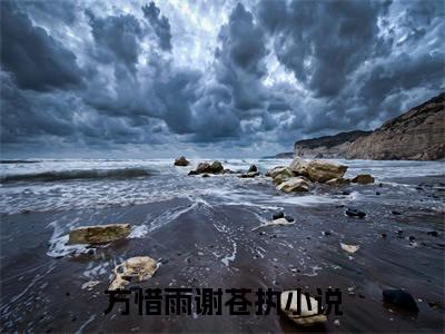 方惜雨谢苍执全文免费阅读无弹窗大结局-方惜雨谢苍执小说在哪里可以看