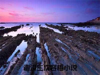 谢浚生沈容梅小说（谢浚生沈容梅最新全章节大结局）谢浚生沈容梅全文阅读