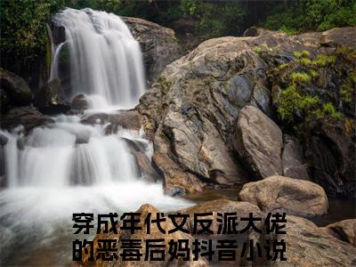 艾心林阳小说（穿成年代文反派大佬的恶毒后妈）全文免费阅读无弹窗_艾心林阳最新小说_笔趣阁（穿成年代文反派大佬的恶毒后妈）