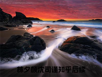 林夕颜沈司谨（林夕颜沈司谨)全文免费阅读无弹窗大结局_林夕颜沈司谨全文免费阅读_笔趣阁（林夕颜沈司谨）