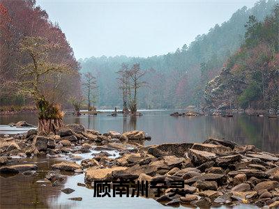 顾南洲宁灵正版小说最新章节在线阅读-（顾南洲宁灵）全文无弹窗阅读