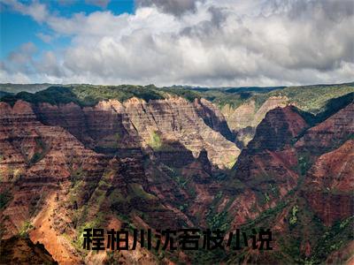 程柏川沈若枝免费小说 程柏川沈若枝在线小说免费阅读目录