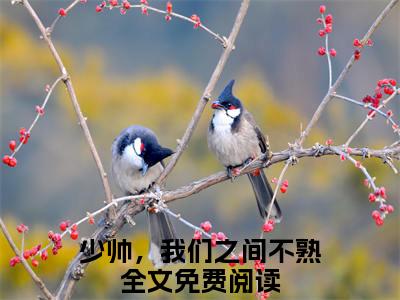 【新书】《林之意司晏》全文免费阅读无弹窗大结局-少帅，我们之间不熟全章节免费阅读