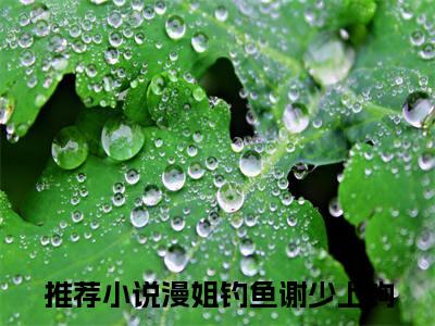 蒋漫谢聿洲（漫姐钓鱼谢少上钩）全文免费阅读无弹窗大结局_（漫姐钓鱼谢少上钩无弹窗）_笔趣阁