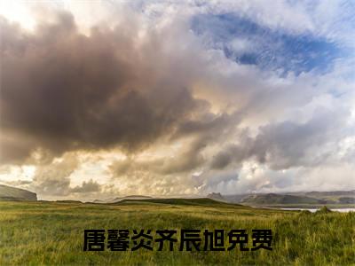 (热推新书)（唐馨炎齐辰旭）全文免费阅读无弹窗大结局-唐馨炎齐辰旭全文阅读无弹窗