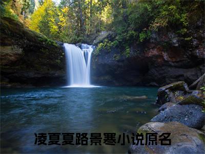 凌夏夏路景寒(凌夏夏路景寒)小说免费阅读大结局无弹窗_(凌夏夏路景寒)最新章节列表笔趣阁（凌夏夏路景寒）