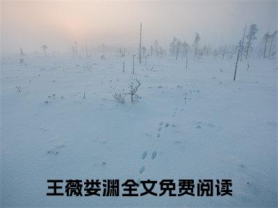 【新书】王薇娄渊全文全章节免费阅读-王薇娄渊小说免费阅读无弹窗最新章节列表