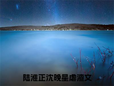 陆淮正沈晚星(陆淮正沈晚星)全文免费阅读无弹窗大结局_ (陆淮正沈晚星免费阅读)最新章节列表_笔趣阁（陆淮正沈晚星）