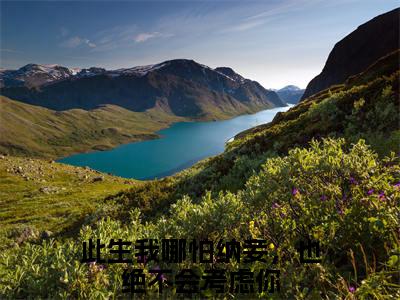 凌冀北楚泠霜韩楚玥（此生我哪怕纳妾，也绝不会考虑你）新上热文小说全文免费阅读-小说（此生我哪怕纳妾，也绝不会考虑你）完整版阅读