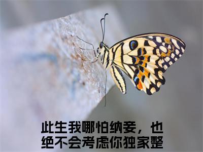 凌冀北楚泠霜韩楚玥（此生我哪怕纳妾，也绝不会考虑你）全文免费阅读无弹窗完整版，(凌冀北楚泠霜韩楚玥)免费阅读全文最新章节列表_笔趣阁