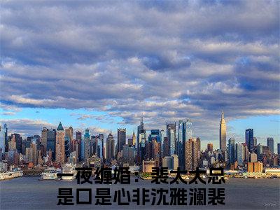 沈雅澜裴淮颂小说（一夜缠婚：裴太太总是口是心非）全文免费阅读无弹窗大结局_沈雅澜裴淮颂小说最新章节列表_笔趣阁