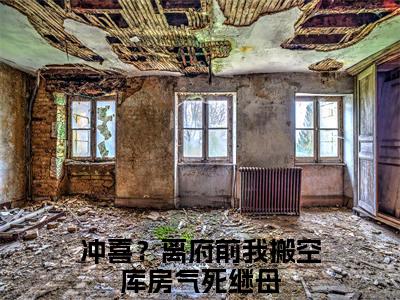 司槿星齐墨离小说全文免费阅读无弹窗-（冲喜？离府前我搬空库房气死继母阅读无弹窗）穿越小说免费阅读_笔趣阁