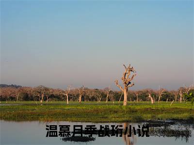 重生后，我和他提退婚了小说（温慕月季战珩）全文免费阅读无弹窗大结局_温慕月季战珩重生后，我和他提退婚了小说最新章节列表_笔趣阁（温慕月季战珩）