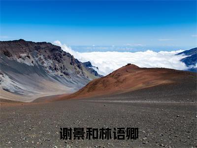 谢景和林语卿是什么小说 谢景和林语卿正版小说免费阅读_笔趣阁