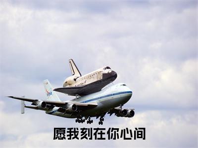 愿我刻在你心间（苏粟林言寻）完整全文在线阅读_苏粟林言寻小说全章节目录阅读（愿我刻在你心间）