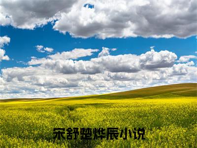 宋舒楚烨辰在线阅读无弹窗_宋舒楚烨辰最新章节列表_笔趣阁