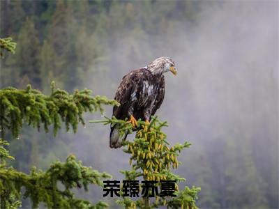 主角叫荣臻苏夏的小说-《荣臻苏夏》荣臻苏夏最新章节在线阅读