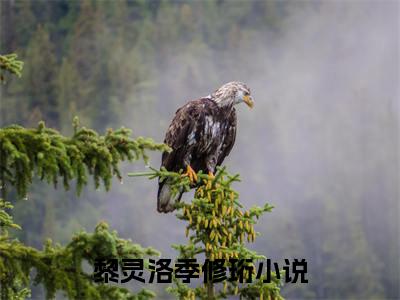 黎灵洛季修珩（黎灵洛季修珩）全文免费阅读无弹窗大结局_（黎灵洛季修珩）黎灵洛季修珩最新章节列表_笔趣阁（黎灵洛季修珩）