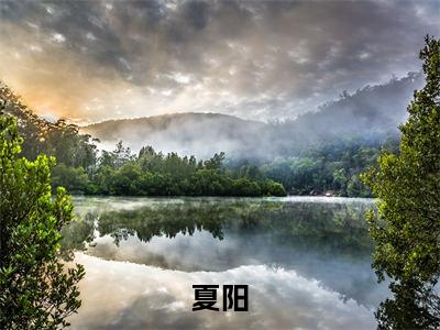 女尊世界的病娇拯救计划最新热门小说-（夏阳）最新章节免费阅读