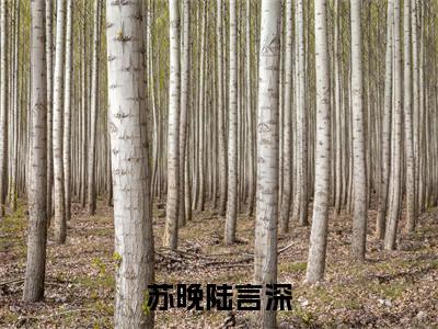 苏晚陆言深（苏晚陆言深）全文在线阅读免费大结局_苏晚陆言深最新章节列表_笔趣阁（苏晚陆言深）