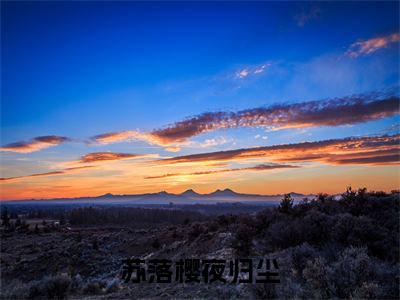 苏落樱夜归尘（苏落樱夜归尘）小说-苏落樱夜归尘小说免费最新章节列表