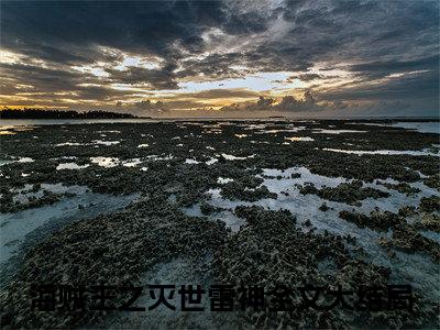 海贼王之灭世雷神（陈凡）全文免费阅读海贼王之灭世雷神最新章节小说免费阅读_笔趣阁