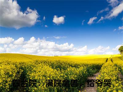 四合院：满院禽兽，给爷哭最新热门小说-（陈一鸣）最新章节免费阅读