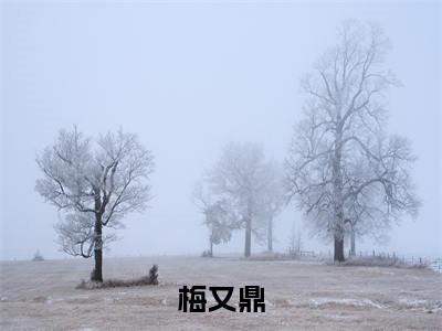 做旧师小说（梅又鼎）全文免费阅读无弹窗大结局_（做旧师）梅又鼎最新章节列表（梅又鼎）