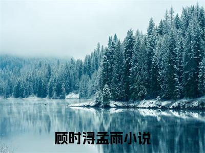 顾时浔孟雨小说(顾时浔孟雨)全文免费阅读无弹窗大结局_顾时浔孟雨小说免费阅读无弹窗最新章节列表_笔趣阁