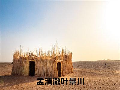 孟清澈叶景川小说免费阅读（孟清澈叶景川）全文免费阅读大结局-（孟清澈叶景川小说免费阅读）好书推荐