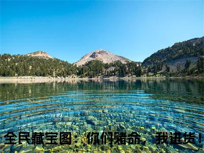 兮冥（全民藏宝图：你们赌命，我进货！）全文免费完结版阅读_（全民藏宝图：你们赌命，我进货！）兮冥最新章节列表笔趣阁（全民藏宝图：你们赌命，我进货！）