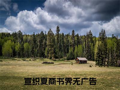 宣织夏商书霁小说完整版阅读 宣织夏商书霁全文在线赏析