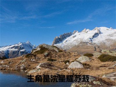 沈星耀苏菽小说最后结局(沈星耀苏菽)完结版免费阅读