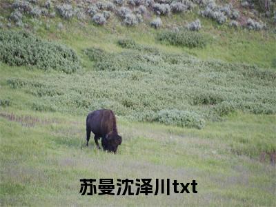 苏曼沈泽川(苏曼沈泽川小说)全文免费阅读无弹窗大结局_(苏曼沈泽川小说免费阅读全文大结局)最新章节列表_笔趣阁（苏曼沈泽川小说）