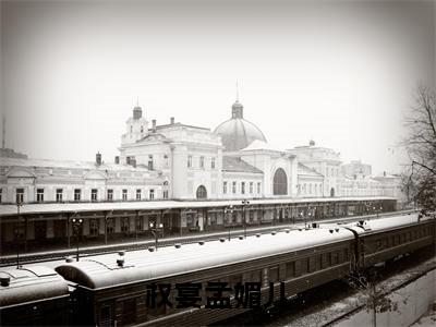 权宴孟媚儿(权宴孟媚儿小说)全文免费阅读无弹窗大结局-权宴孟媚儿小说最新章节列表_笔趣阁