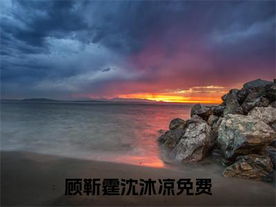 顾靳霆沈沐凉小说已完结（顾靳霆沈沐凉）全文免费阅读无弹窗大结局_顾靳霆沈沐凉最新章节列表（顾靳霆沈沐凉）