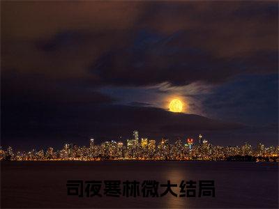 司夜寒林微的书名大结局免费阅读 司夜寒林微全文小说