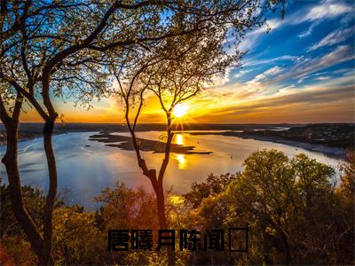 小说推荐唐曦月陈闻璟精彩章节全文阅读-（唐曦月陈闻璟）新书热荐免费小说